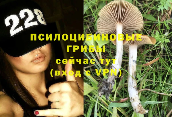 ешки Надым