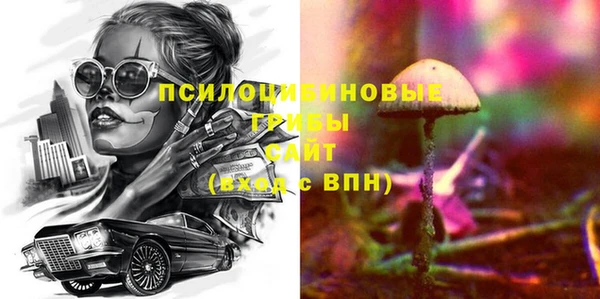 ГАЛЛЮЦИНОГЕННЫЕ ГРИБЫ Наволоки