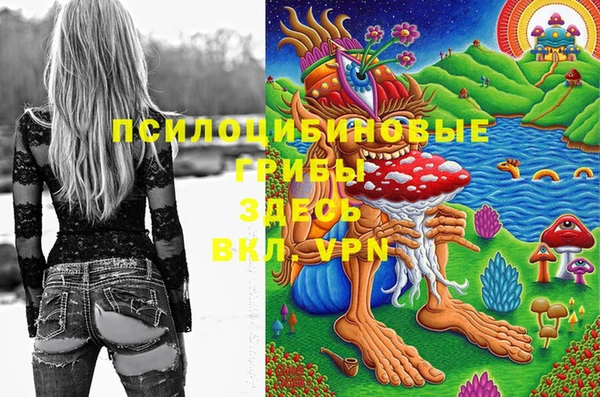 ГАЛЛЮЦИНОГЕННЫЕ ГРИБЫ Наволоки