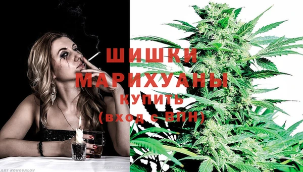 ГАЛЛЮЦИНОГЕННЫЕ ГРИБЫ Наволоки