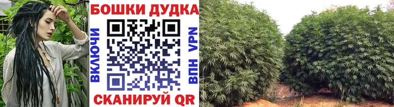 Шишки марихуана тримм Краснообск